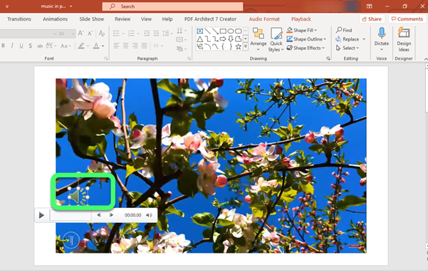 how to add audio to powerpoint online with office 365